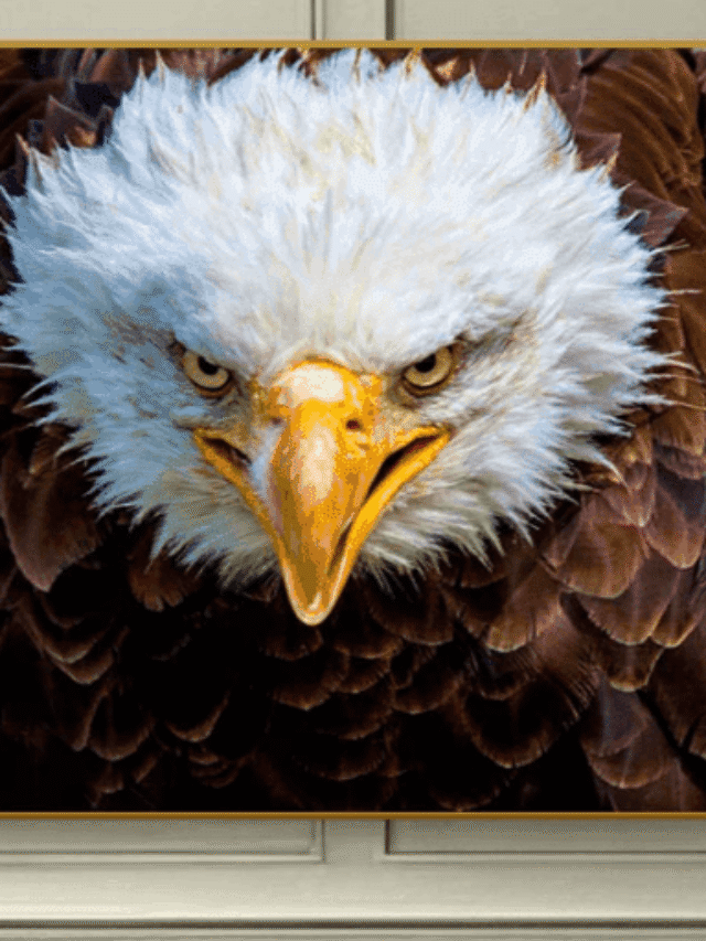 Arquétipos: Uma Força Extra Para Vender Muito Mais