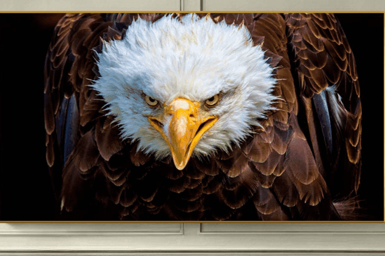 Via Direta B2B: Representante Comercial no Estado de São Paulo